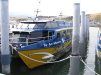 Albums/20060200-New Zealand 2006/20060318-Kaikiura/29